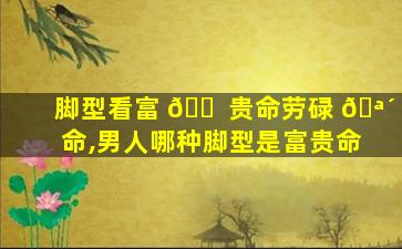 脚型看富 🐠 贵命劳碌 🪴 命,男人哪种脚型是富贵命